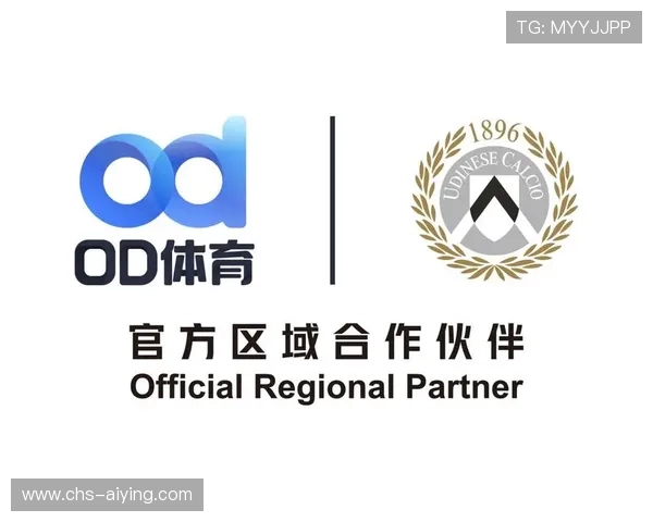 中欧体育合作背景下的体育赛事市场开发与推广策略